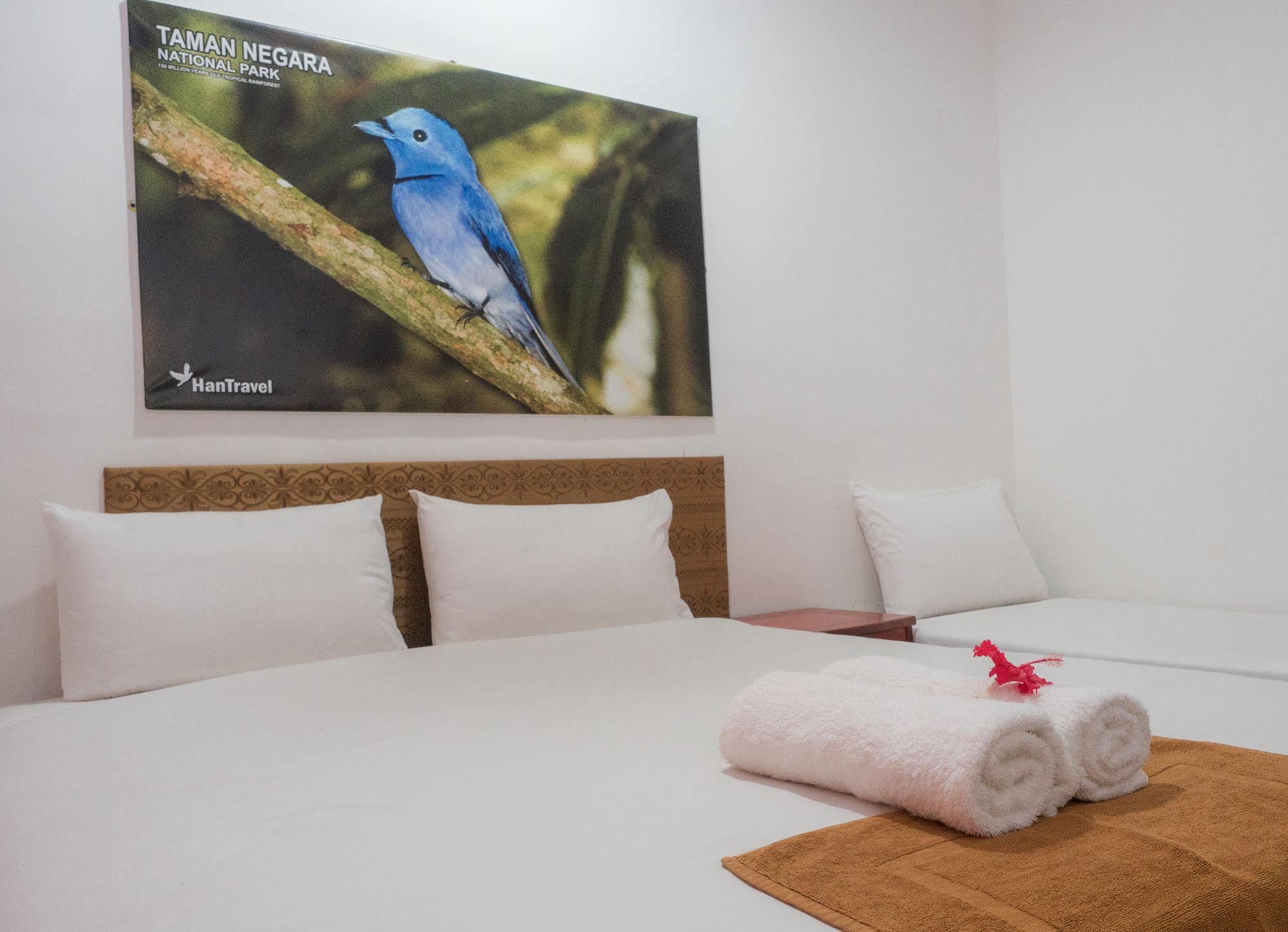 Han Rainforest Resort Kuala Tahan Extérieur photo